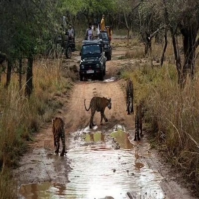 pench safari zones