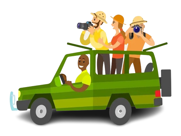 Wildlife Safari