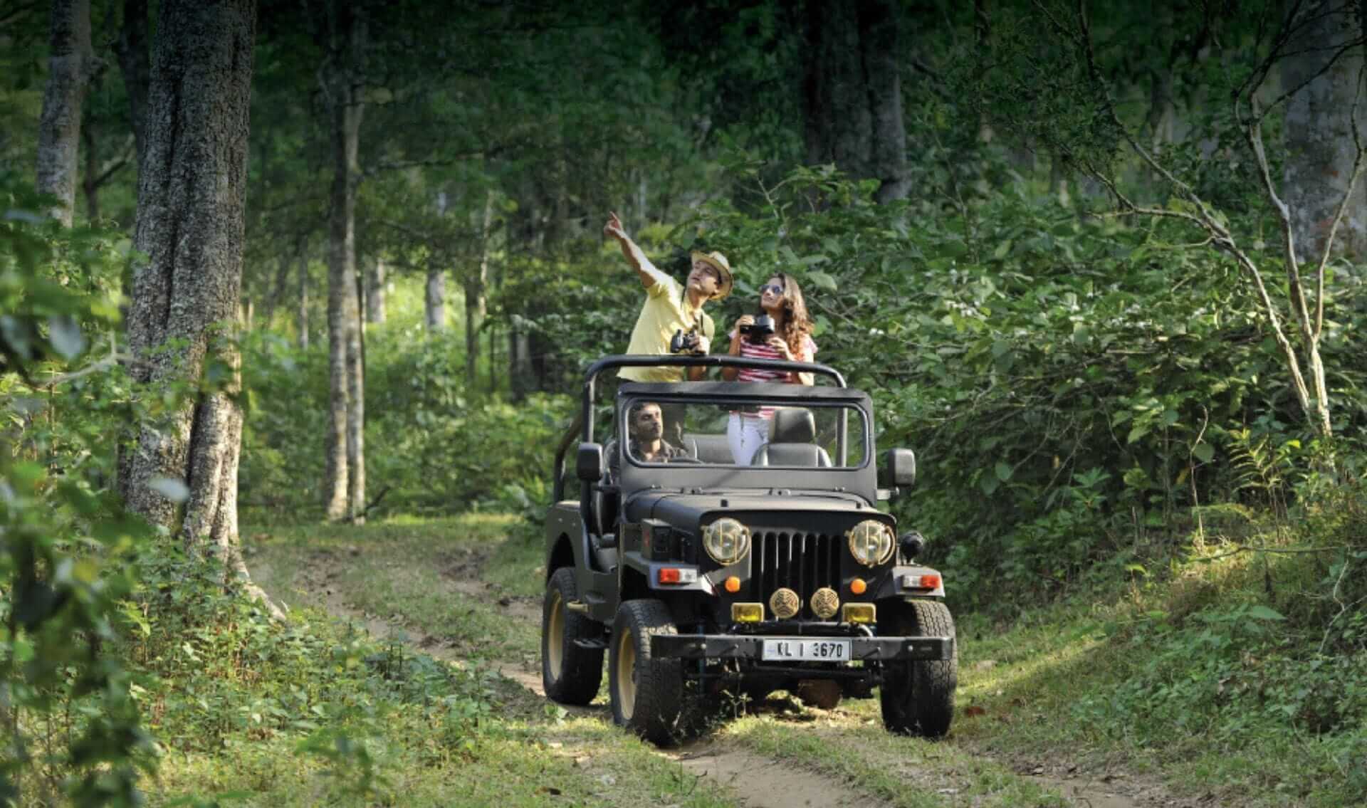 How To Book Pench National Park Safari Online?
